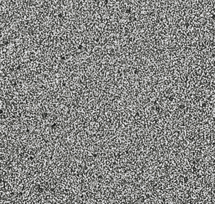 BA-1010-BG