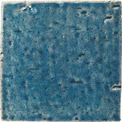 ERP-251