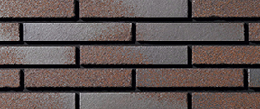IBS-S6-10