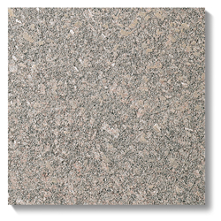 NSJ-409