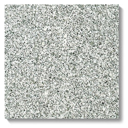 NSP-40A