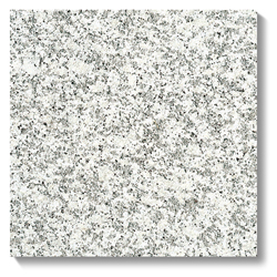 NSJ-411