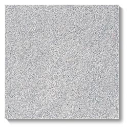 NSJ-31F