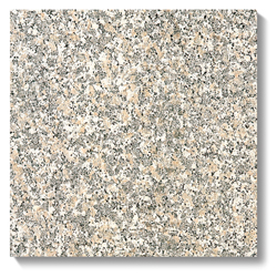 NSJ-441