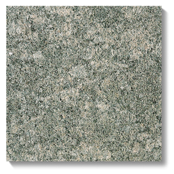 NSJ-443