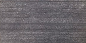 NSL-501
