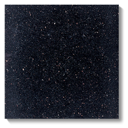 NSP-1301