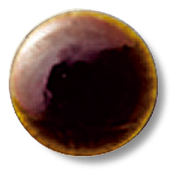 OLG-20