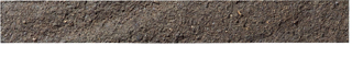 WBR-2507