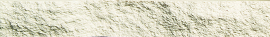 CON-LE-V1