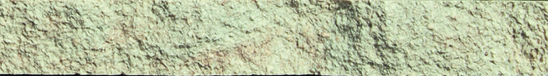 CON-LE-V4