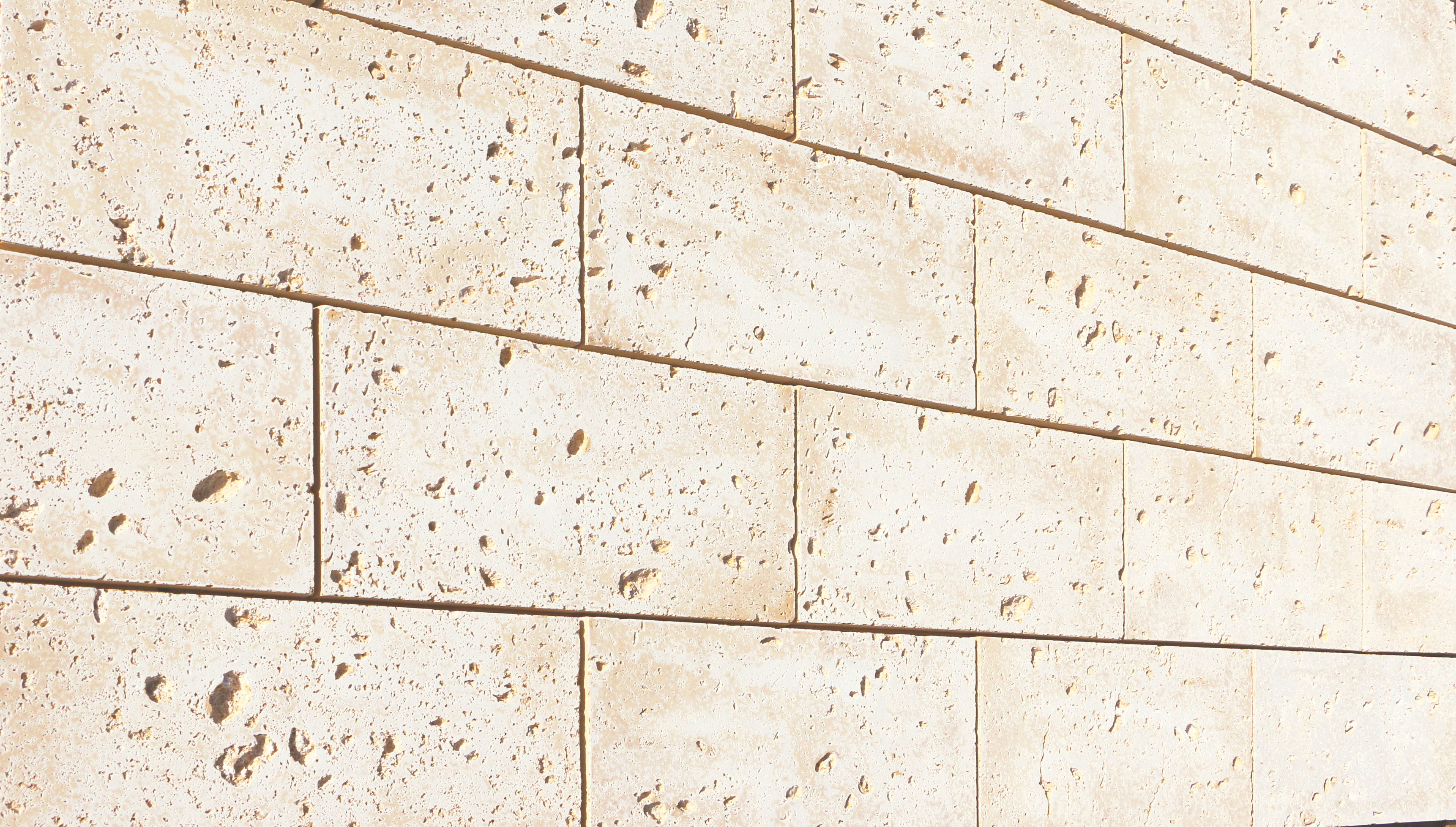 大和石 The RYUKYU