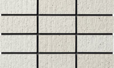 ハレーシュウガ〈50二丁・50三丁〉