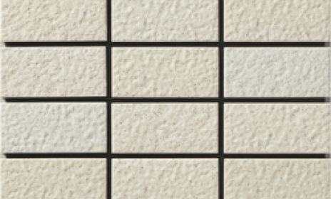 ハレーGS T〈50二丁〉