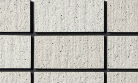 ハレーシュウガ〈50二丁・50三丁〉
